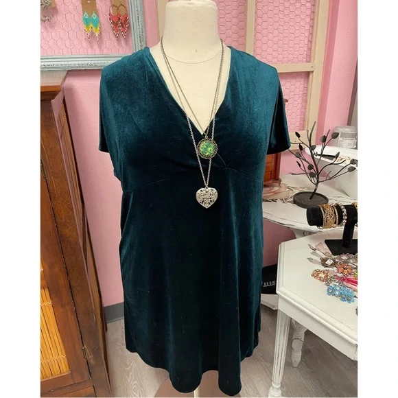Anthropologie Nancy Green Velvet Tunic Dress NWT SZ 1X - Picture 8 of 16